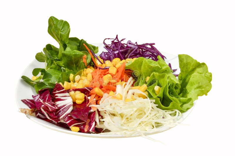 Fresh Healthy Classic Caesar Salad on Plate with White Background Stock
