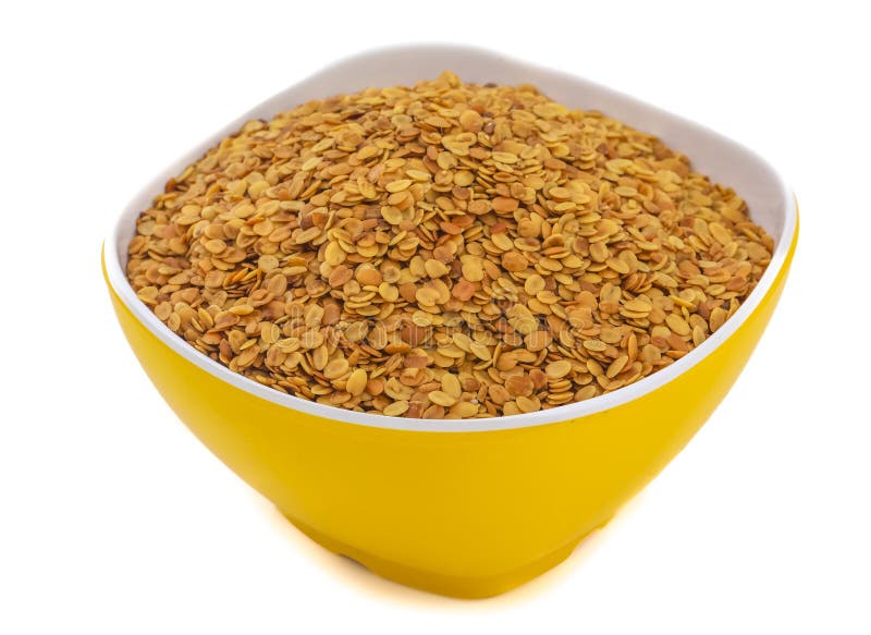 Fresh and Healthy Coriander Seed Stock Image Image of aromatic, daal