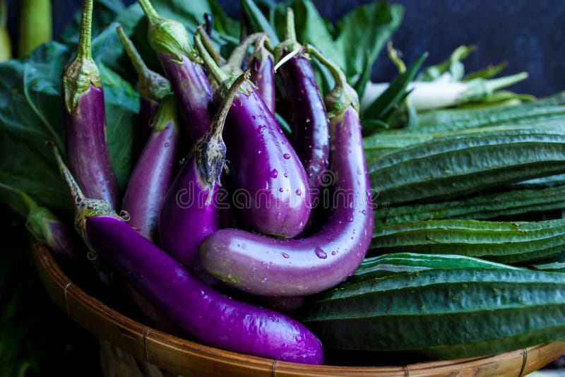 Fresh Healthy Eggplants on Dark Background Stock Photo Image of