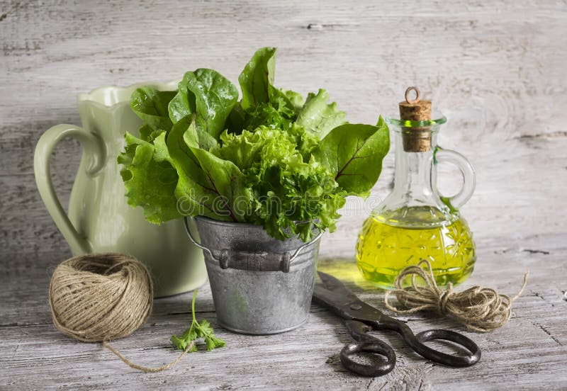 Fresh herb garden in a metal bucket, olive oil in glass bottle, old vintage scissors and a jug royalty free stock images Fresh herb garden in a metal bucket, olive oil in glass bottle, old vintage scissors and a jug royalty free stock images
