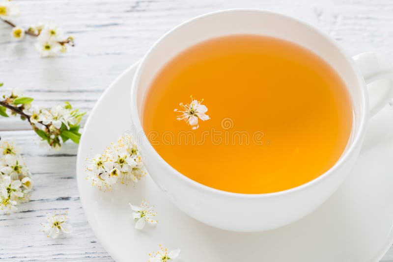 Fresh Herbal Tea with Blooming Brunch Stock Photo Image of yellow