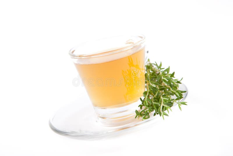 Thyme Tea with Fresh Thyme Leaves Inside Teacup Stock Photo Image of