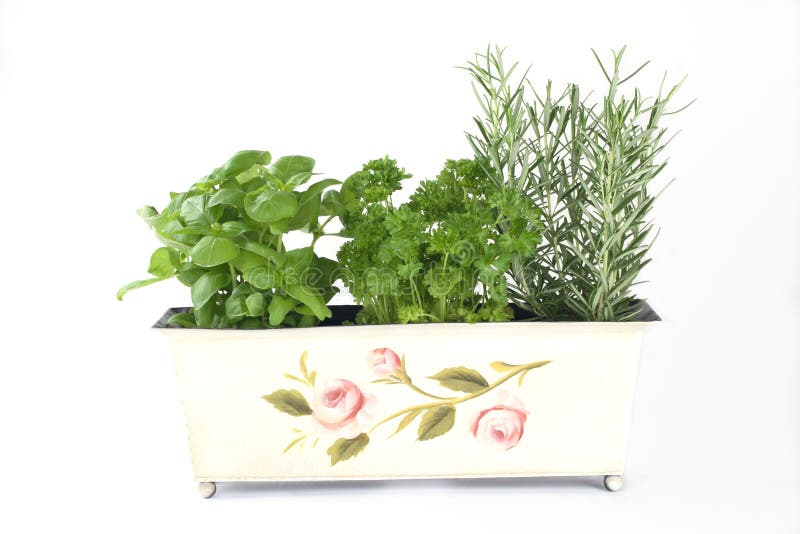 Fresh herbs (basil, parsley, rosemary)