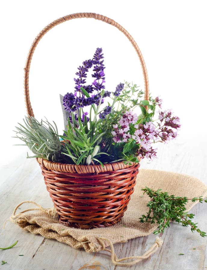 Fresh herbs in basket stock image. Image of healthy, isolated 34342135