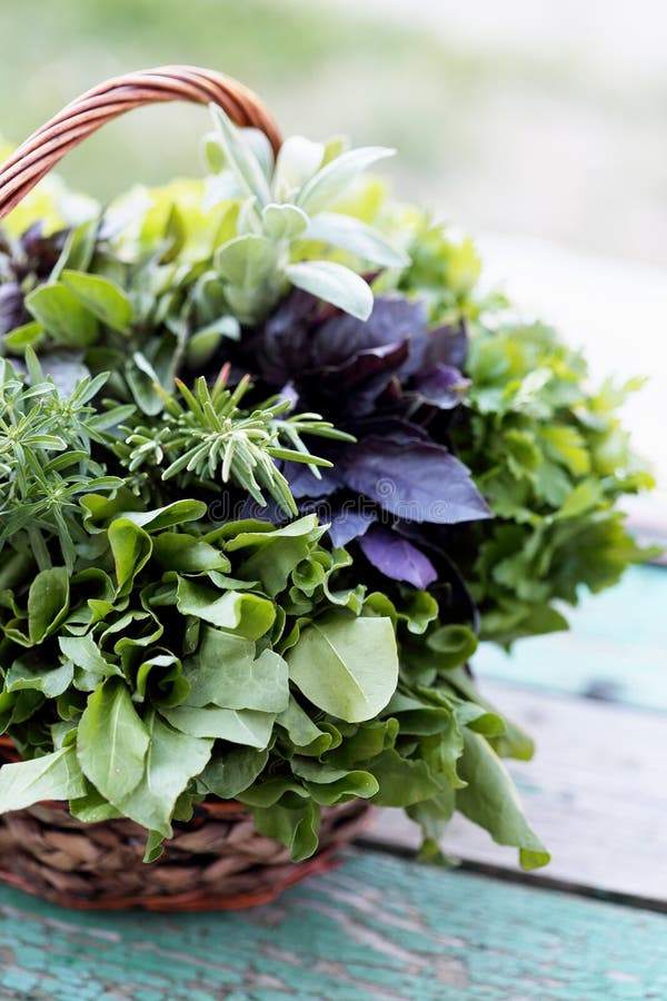 Fresh herbs in basket stock image. Image of garnish, ingredient 56925093