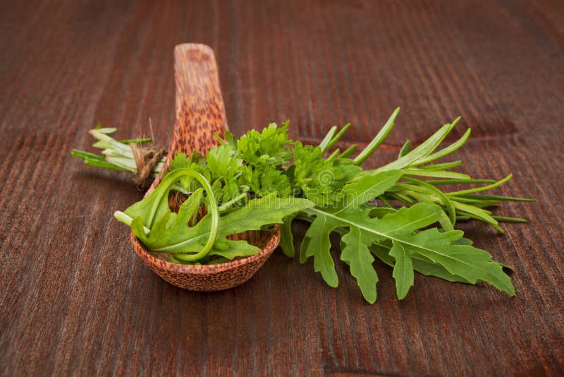 Fresh herbs collection stock photo Fresh herbs collection stock photo