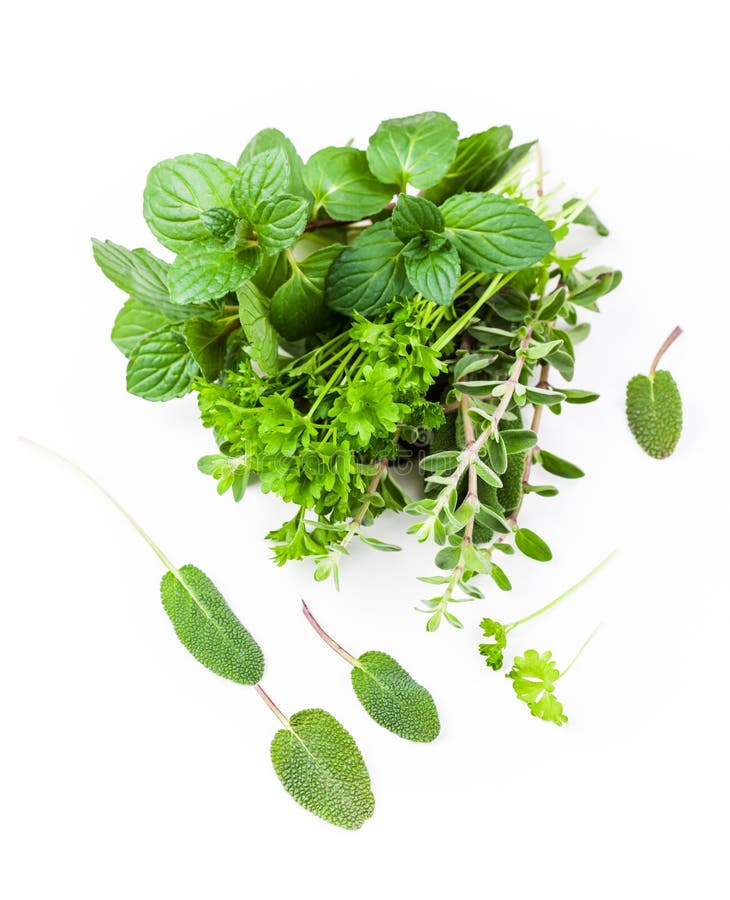 Mixed fresh herbs stock image. Image of group, leaves 14544467