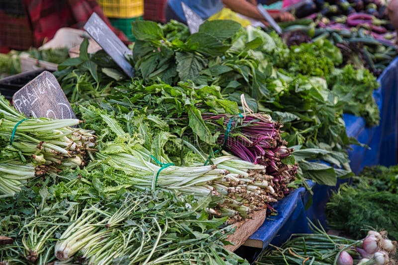 Fresh Herbs Stall on Village Market in Greece Stock Image Image of