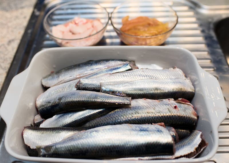 Fresh herring stock image. Image of fish, life, milt 70749867