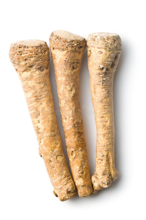 Fresh horseradish root stock photo. Image of herbal, vegetarian 54664154