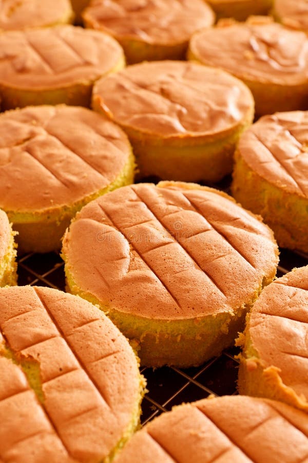 Fresh hot bread in trey stock photo. Image of homemade 29006342