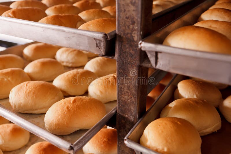 Fresh hot bread in trey stock photo. Image of homemade 29006342