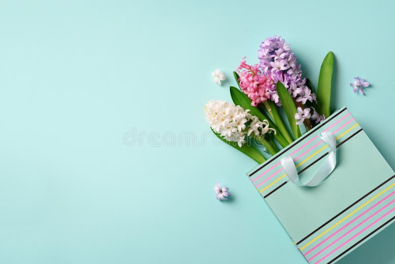 Fresh hyacinth flowers in shopping bag on blue punchy pastel background. Banner with copy space. Spring, summer, Woman day concept royalty free stock photos Fresh hyacinth flowers in shopping bag on blue punchy pastel background. Banner with copy space. Spring, summer, Woman day concept royalty free stock photos
