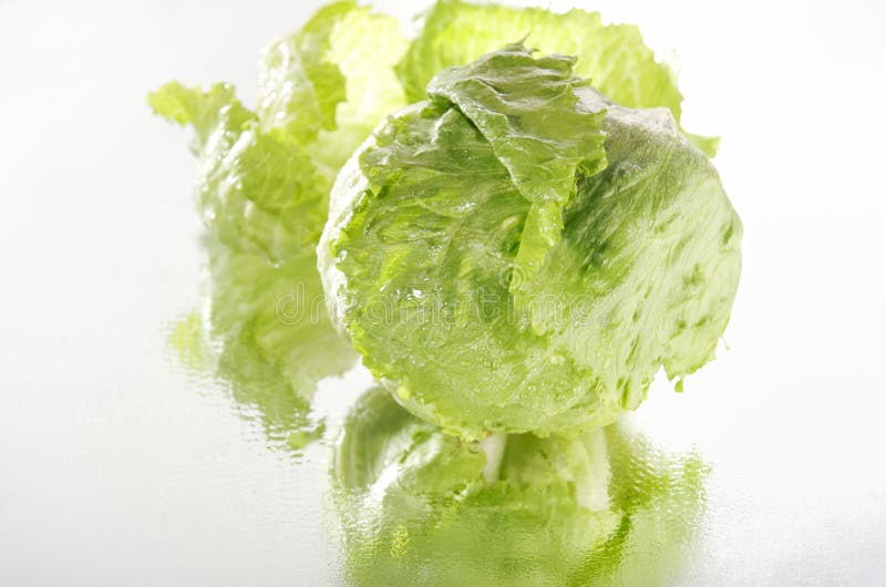 Fresh iceberg lettuce stock image. Image of green, flavor 25039667