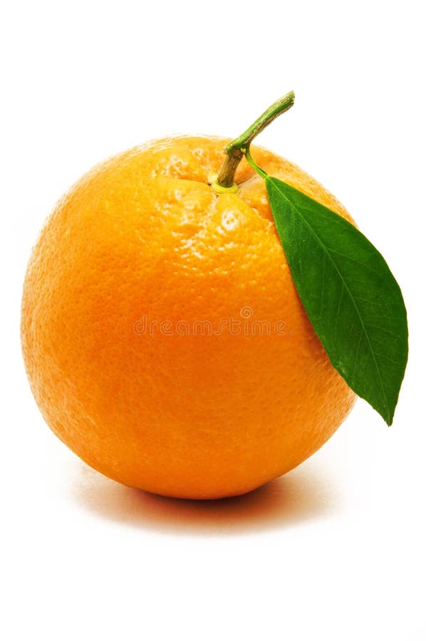 Fresh Illuminated Orange Fruit