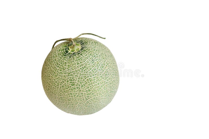 Japanese Green Melon Isolated on White Background Stock Image Image