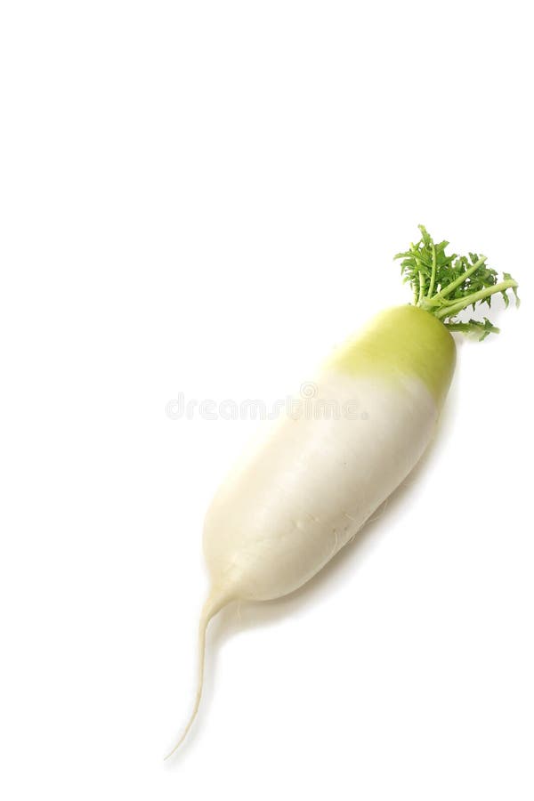 Fresh Japanese Radish in the White Stock Image Image of copy, crop