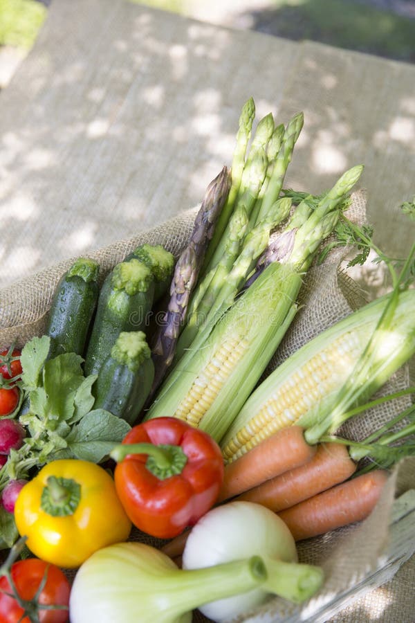 Japanese Vegetables Stock Photos Download 35,334 Royalty Free Photos