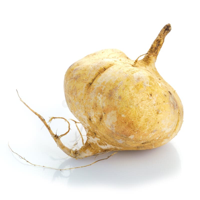 Fresh jicama stock image. Image of fruit, fresh, juicy 43692513