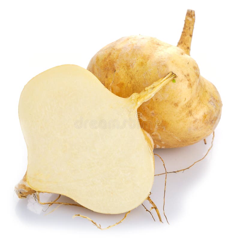 Fresh jicama stock image. Image of juicy, fresh, tuberous 43692511