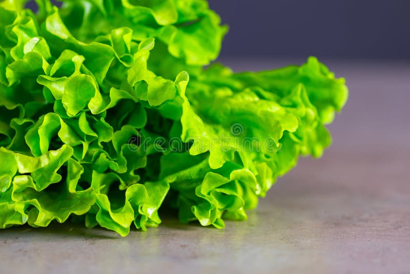 Fresh Juicy Lettuce on a Gray Kitchen Tabletop Closeup. the Concept of ...