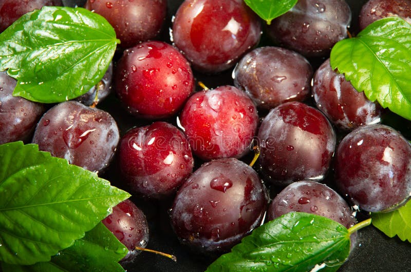 Washing Plums in the Colander Stock Photo - Image of iron, juicy: 121024950