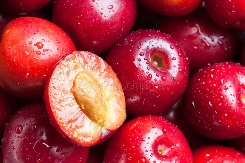 Fresh juicy red plums stock image. Image of seed, closeup 73445035