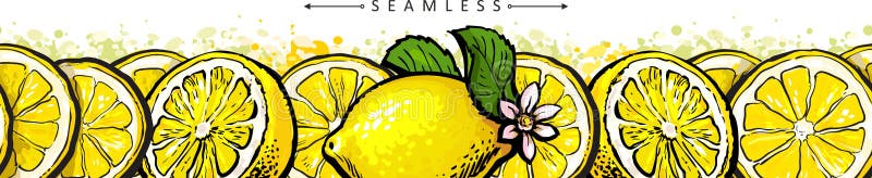 Fresh juicy tropical lemon fruit, seamless border and frame, pattern and background.