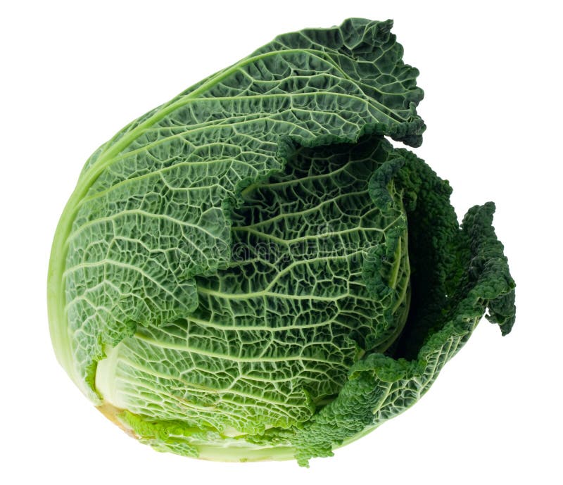 Fresh Lettuce / One Leaf Isolated on White Stock Image Image of