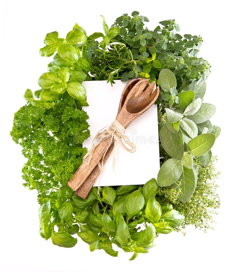 Fresh kitchen herbs stock photo. Image of collection 32469412