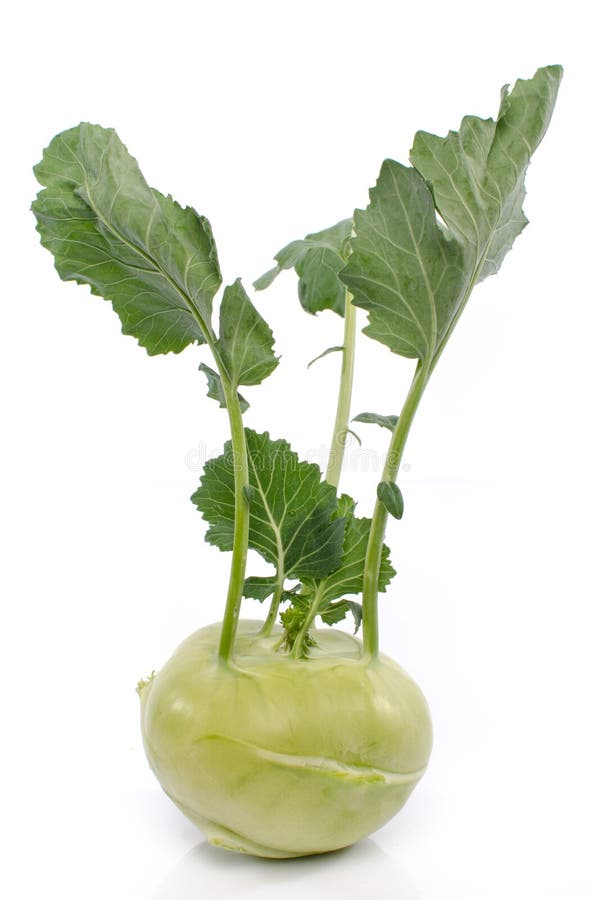Fresh kohlrabi stock photo. Image of agriculture, ripe 53654646
