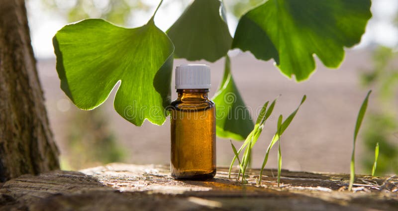 Ginkgo Biloba Essential Oil, Leaves and Medicine Bottles Stock Image ...