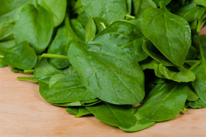 Fresh leaves of Spinach stock image. Image of organic - 115132247