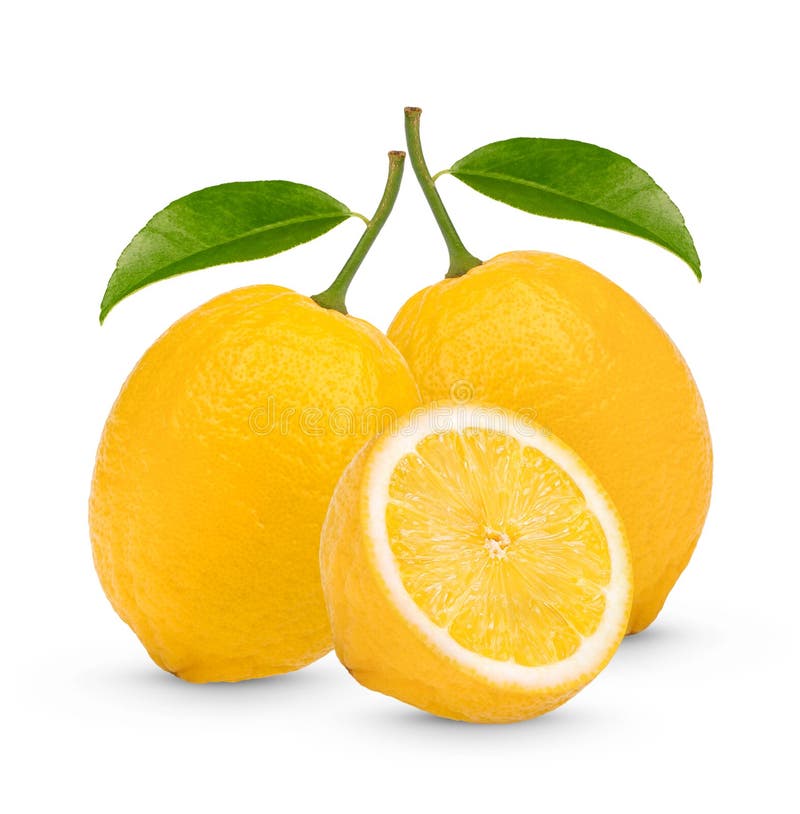 Fresh Lemon with Leaves Isolated on White Background Stock Image Image of piece, stem 226192149