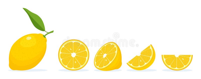 Fresh Lemon slices