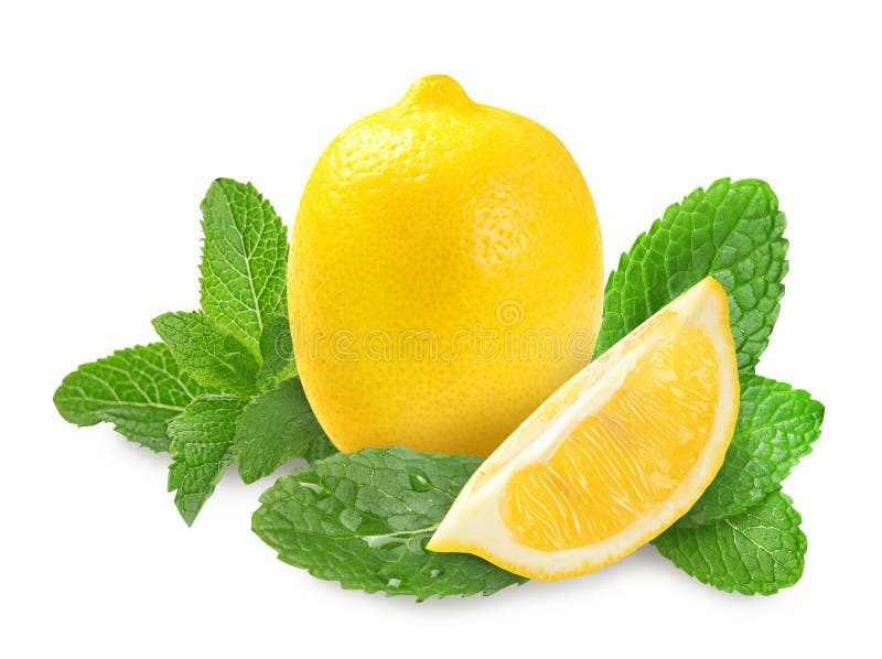 Fresh Lemons and Green Mint Leaves on White Background Stock Image Image of color, leaves