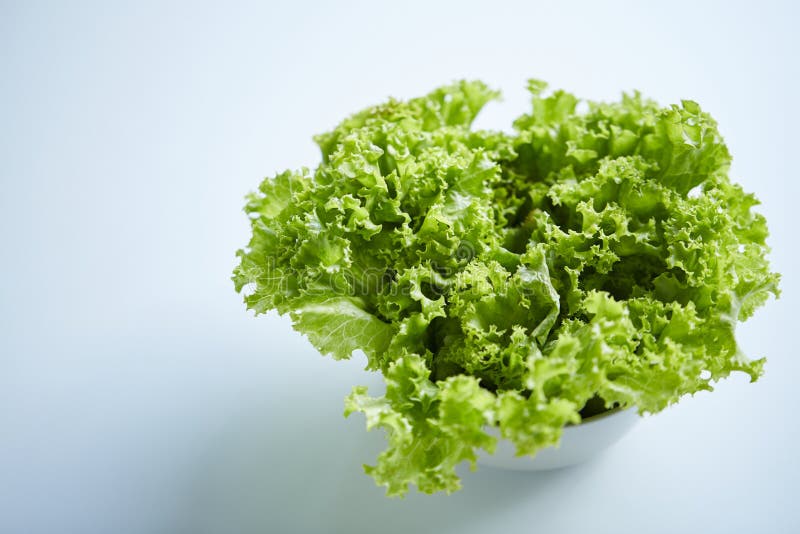 Fresh Lettuce in Bowl on White Background Stock Photo Image of macro, fresh 138343440