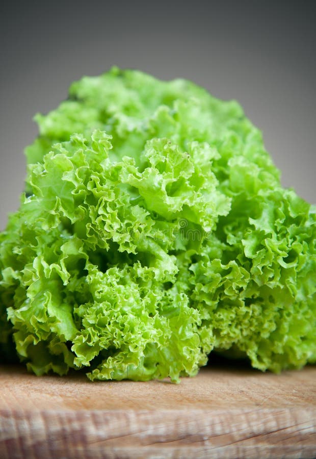Fresh lettuce leaves. stock photo. Image of collection 26379062