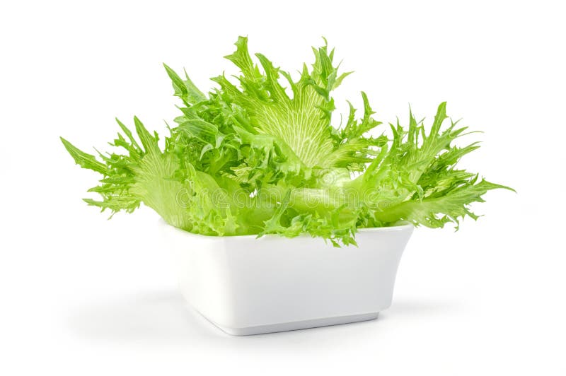Fresh Lettuce Leaves in Bowl on a White Background Stock Image Image