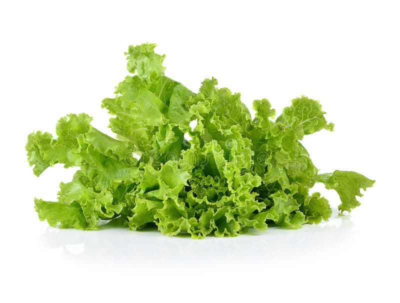Fresh Lettuce Leaves Isolated on White Stock Photo Image of leaves