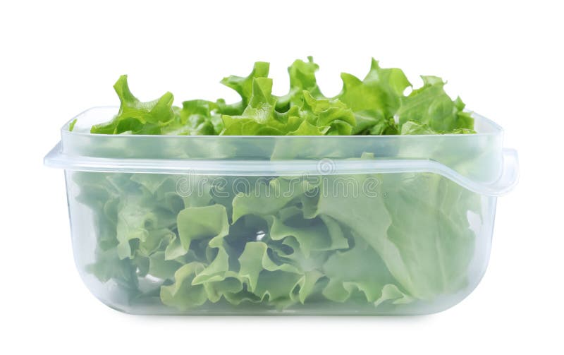 Fresh Lettuce in Plastic Container Isolated on White Stock Image