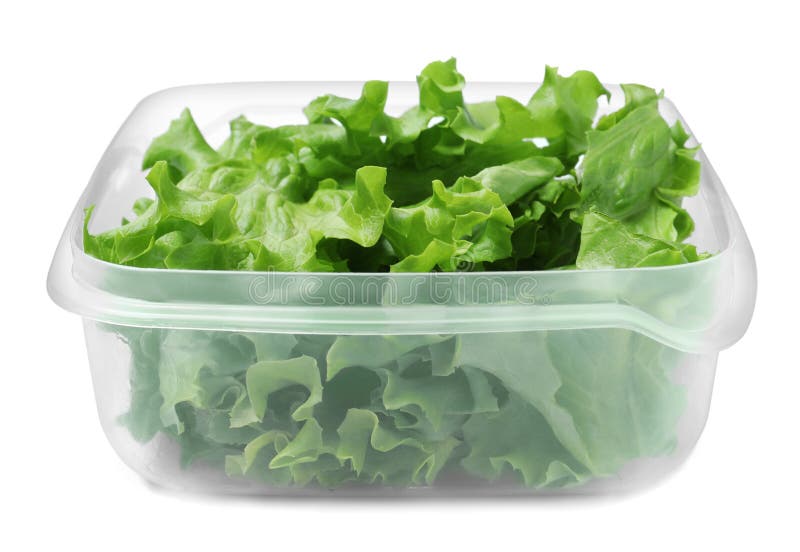 Fresh Lettuce in Plastic Container Isolated on White Stock Photo