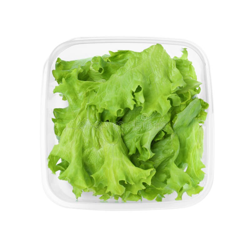 Fresh Lettuce in Plastic Container Isolated on White, Top View Stock