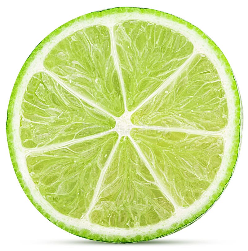Fresh lime slice stock photo. Image of fruit, fresh 102924026