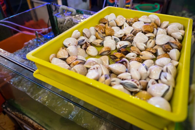 Fresh live clams stock image. Image of cuisine, animal 79579179