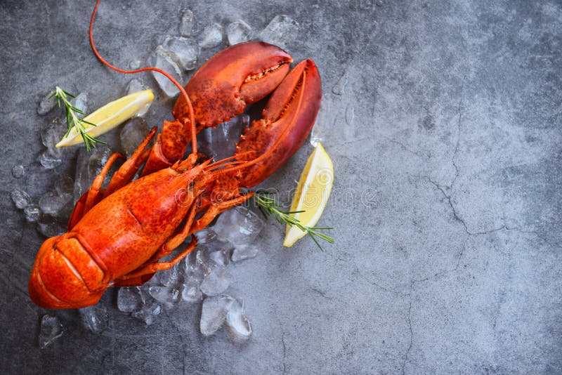 Fresh lobster food on a black plate background - red lobster dinner seafood with herb spices lemon rosemary served table and ice