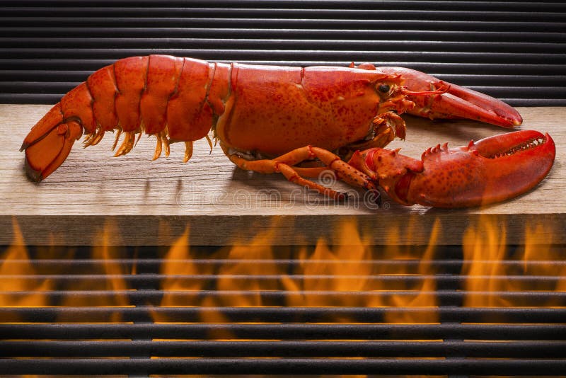 Fresh red lobster on a wood plank over a hot flaming barbecue grill. Fresh red lobster on a wood plank over a hot flaming barbecue grill