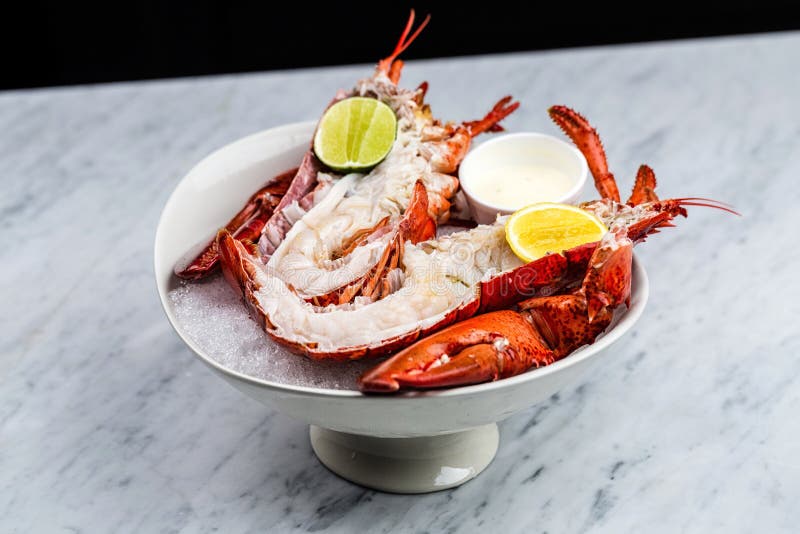 Lobster stock photo. Image of body, view, freshly, cooked 17034786