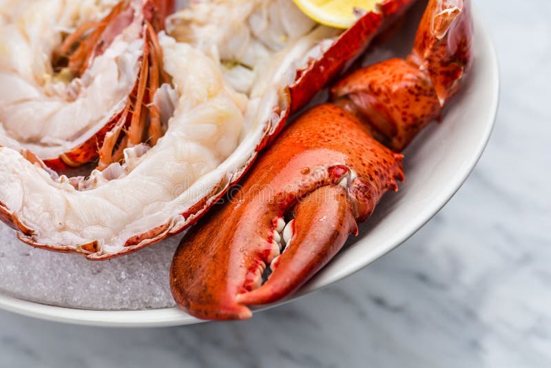 Fresh Lobster with Sauce and Lime Stock Image Image of dining, dinner