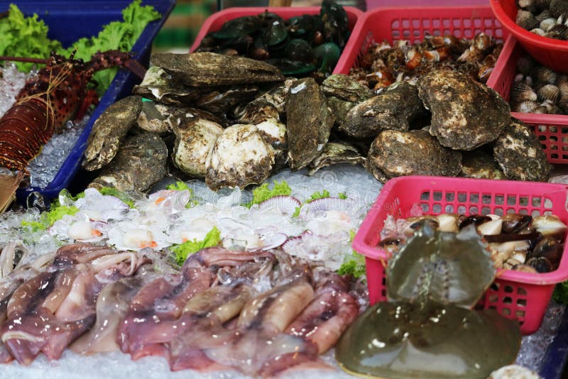 Fresh lobster and seafood on street food can be seen in Thailand and tourist attractions royalty free stock image Fresh lobster and seafood on street food can be seen in Thailand and tourist attractions royalty free stock image